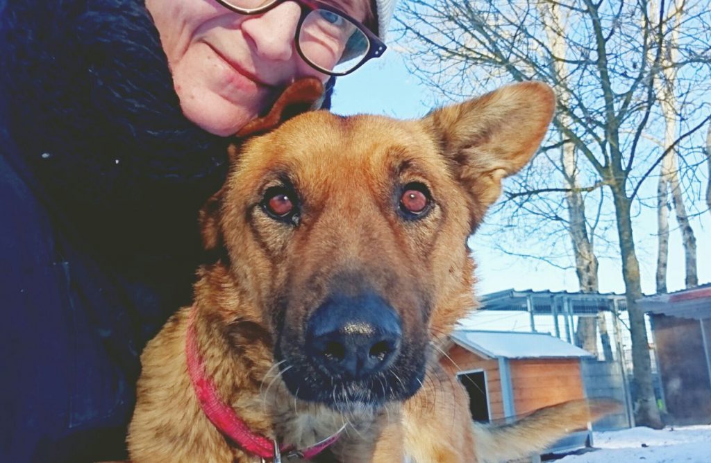 Schäferhund Mouse [vermittelt] Tierheim Schwandorf